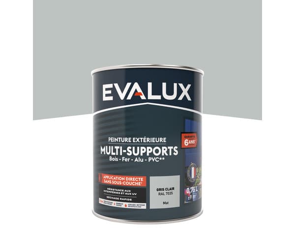 Peinture extérieure Satin multi supports 0,75 L gris clair - Evalux
