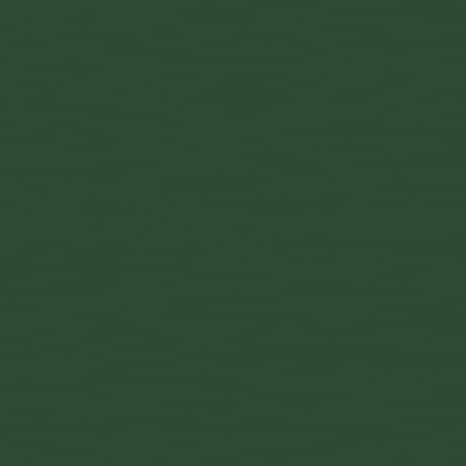 Miniature 2 de Peinture métal extérieur brillant 2 L vert basque - Ripolin