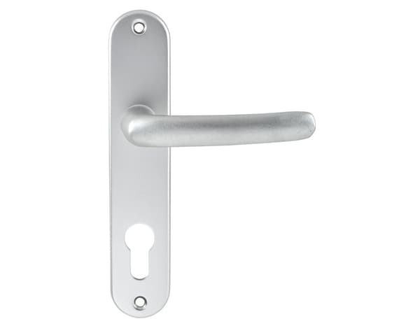 Miniature 2 de Ensemble de porte entraxe 165 mm avec serrure pour cylindre "budget 165 tcy" - Assa Abloy