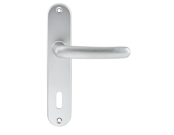 Miniature 2 de Ensemble de porte entraxe 165 mm avec serrure pour clé "budget 165 ts" - Assa Abloy