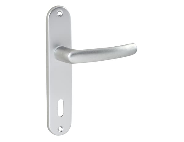 Miniature 3 de Ensemble de porte entraxe 165 mm avec serrure pour clé "budget 165 ts" - Assa Abloy
