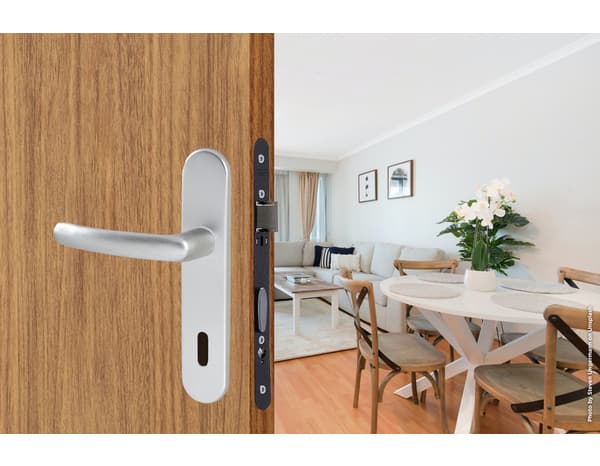 Ensemble de porte entraxe 165 mm avec serrure pour clé "budget 165 ts" - Assa Abloy