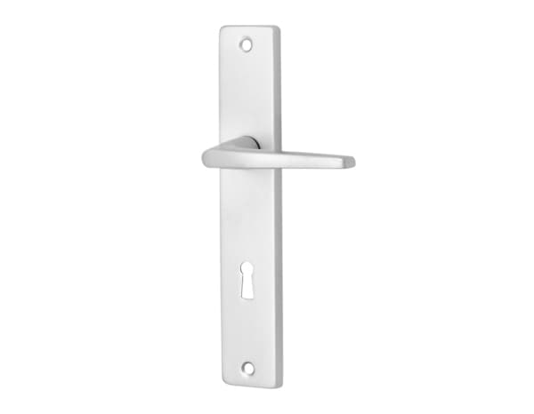 Miniature 2 de Poignée de porte "Cyriac" avec trou pour clé - Entraxe 195 mm - Cooke and Lewis