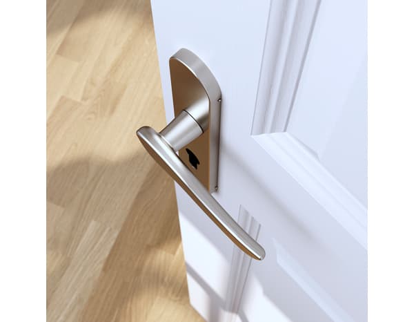 Miniature 5 de Poignée de porte "Arcles" avec trou pour cylindre - Effet nickel - Entraxe adaptable 165-195 mm - Cooke and Lewis