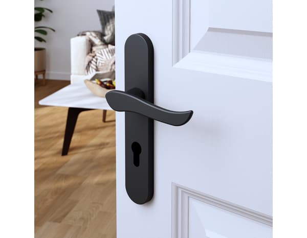 Poignée de porte "Arcles" avec trou pour cylindre - Noir - Entraxe adaptable 165-195 mm - Cooke and Lewis