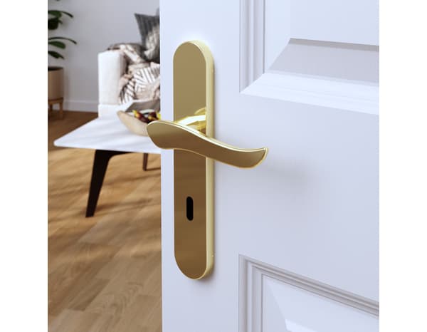 Poignée de porte "Arcles" avec trou pour clé - Effet laiton - Entraxe adaptable 165-195 mm - Cooke and Lewis