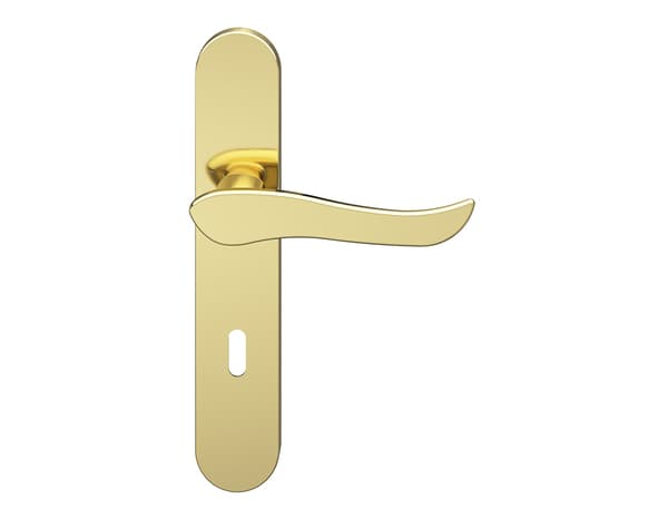 Miniature 3 de Poignée de porte "Arcles" avec trou pour clé - Effet laiton - Entraxe adaptable 165-195 mm - Cooke and Lewis