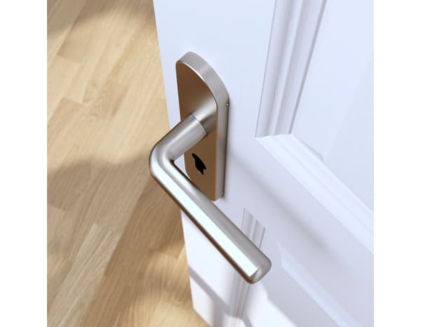 Miniature 5 de Poignée de porte "Derenic" avec trou pour cylindre - Effet nickel - Entraxe adaptable 165-195 mm - Cooke and Lewis