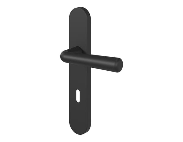 Miniature 2 de Poignée de porte "Derenic" avec trou pour clé - Noir - Entraxe adaptable 165-195 mm - Cooke and Lewis