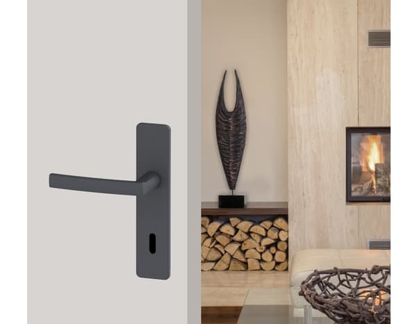 Ensemble poignée de porte "Koya" avec trou pour clé - Entraxe 195 mm - Assa Abloy