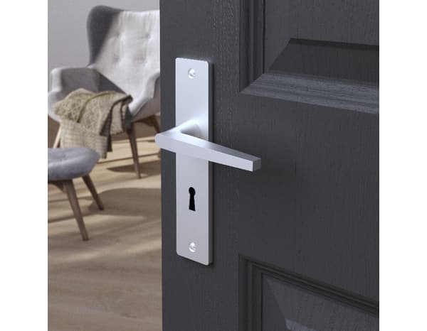 Poignée de porte "Cyriac" avec trou pour clé - Entraxe 195 mm - Cooke and Lewis