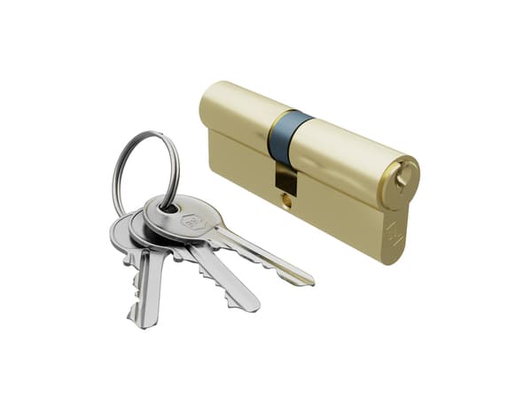 Cylindre 30x40 mm laiton poli avec 3 clefs