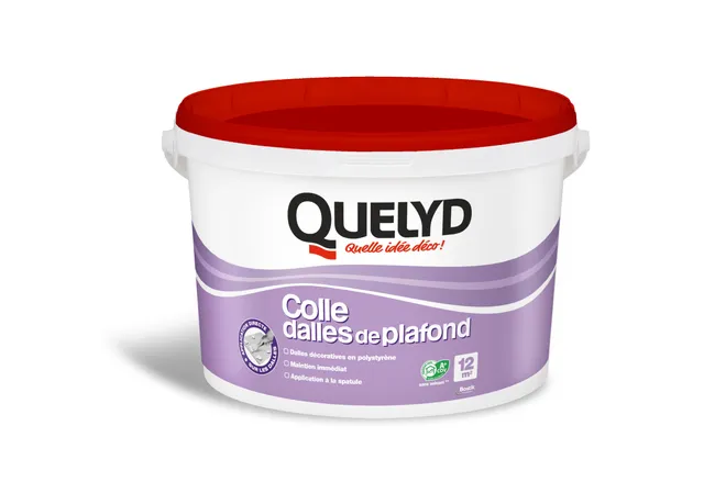 Image principale de Colle dalles de plafond en pâte 4 kg - QUELYD