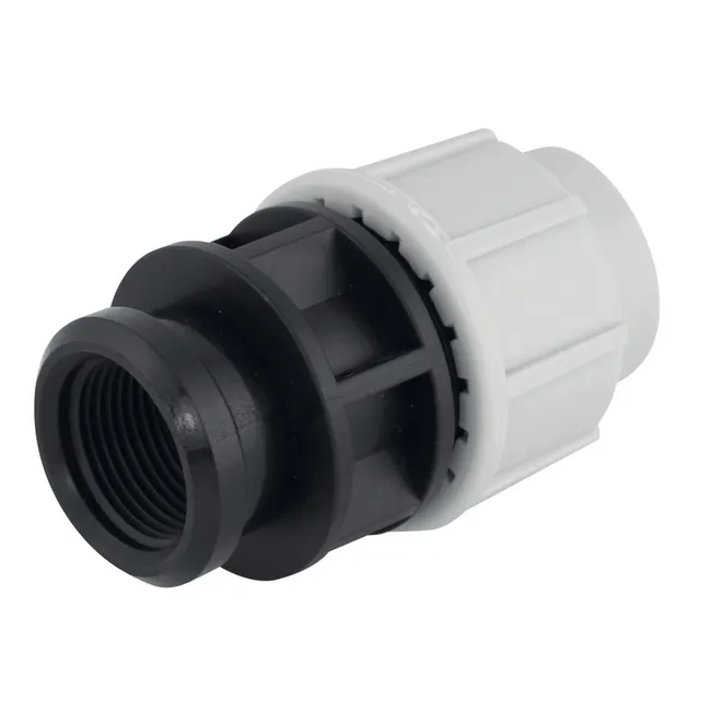 Image principale de Manchon compression taraudé femelle pour tube PE Ø25x3/4"