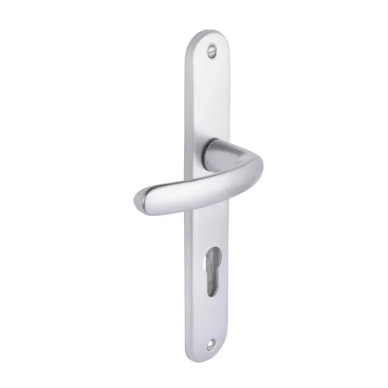 Image principale de Ensemble de porte budget bezault entraxe 165mm clé i - argent - 73267